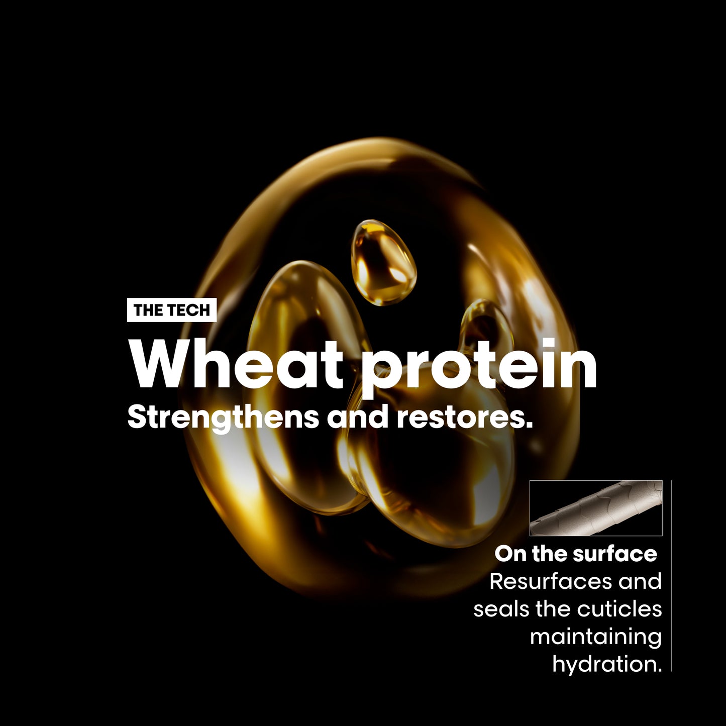 Loreal Pro Absolut Repair Shampoo 500ml