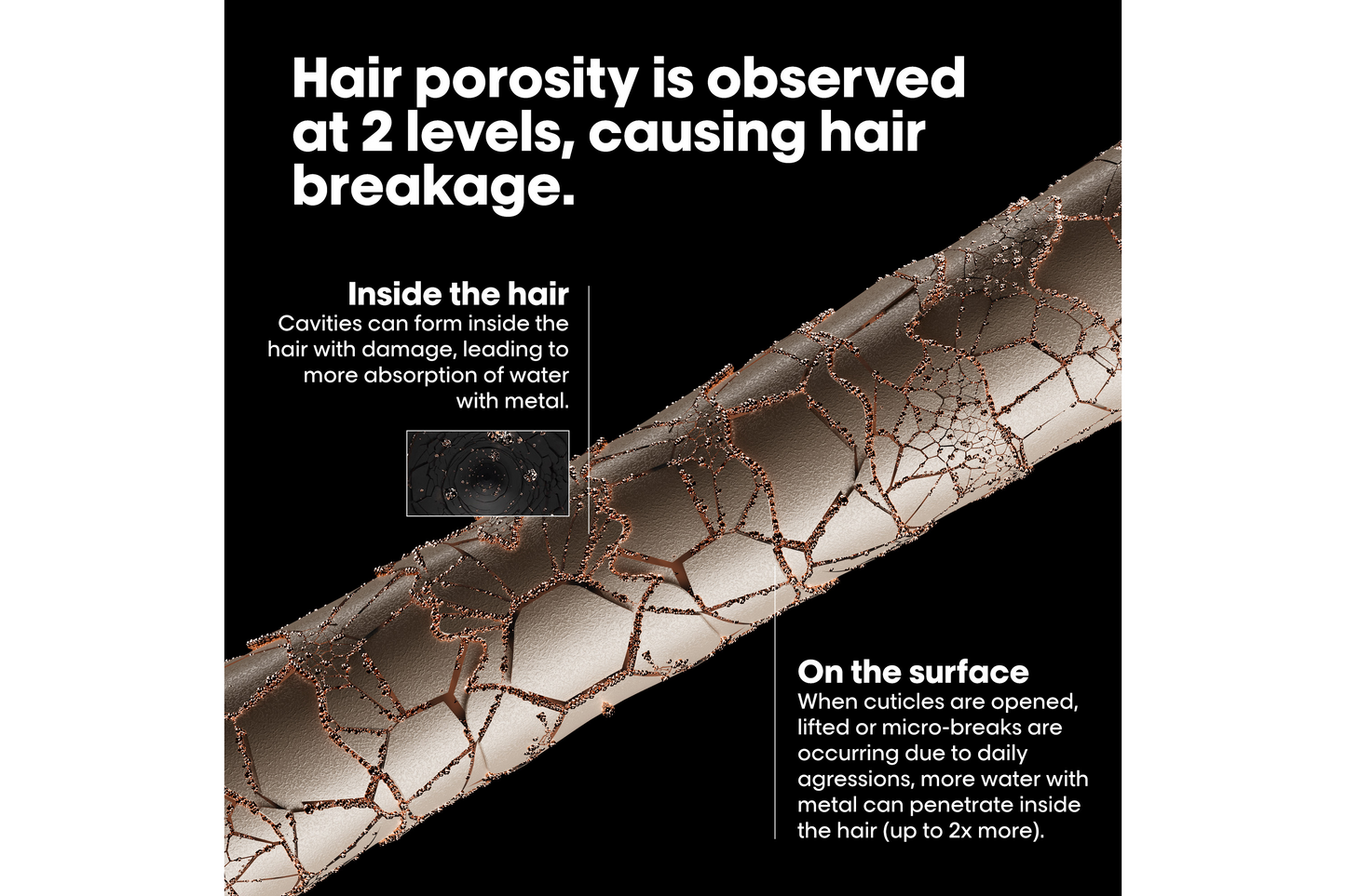 Loreal Metal Detox Pre Shampoo Treatment 250ml