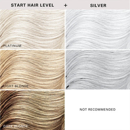 Clenditioner Silver 355ml