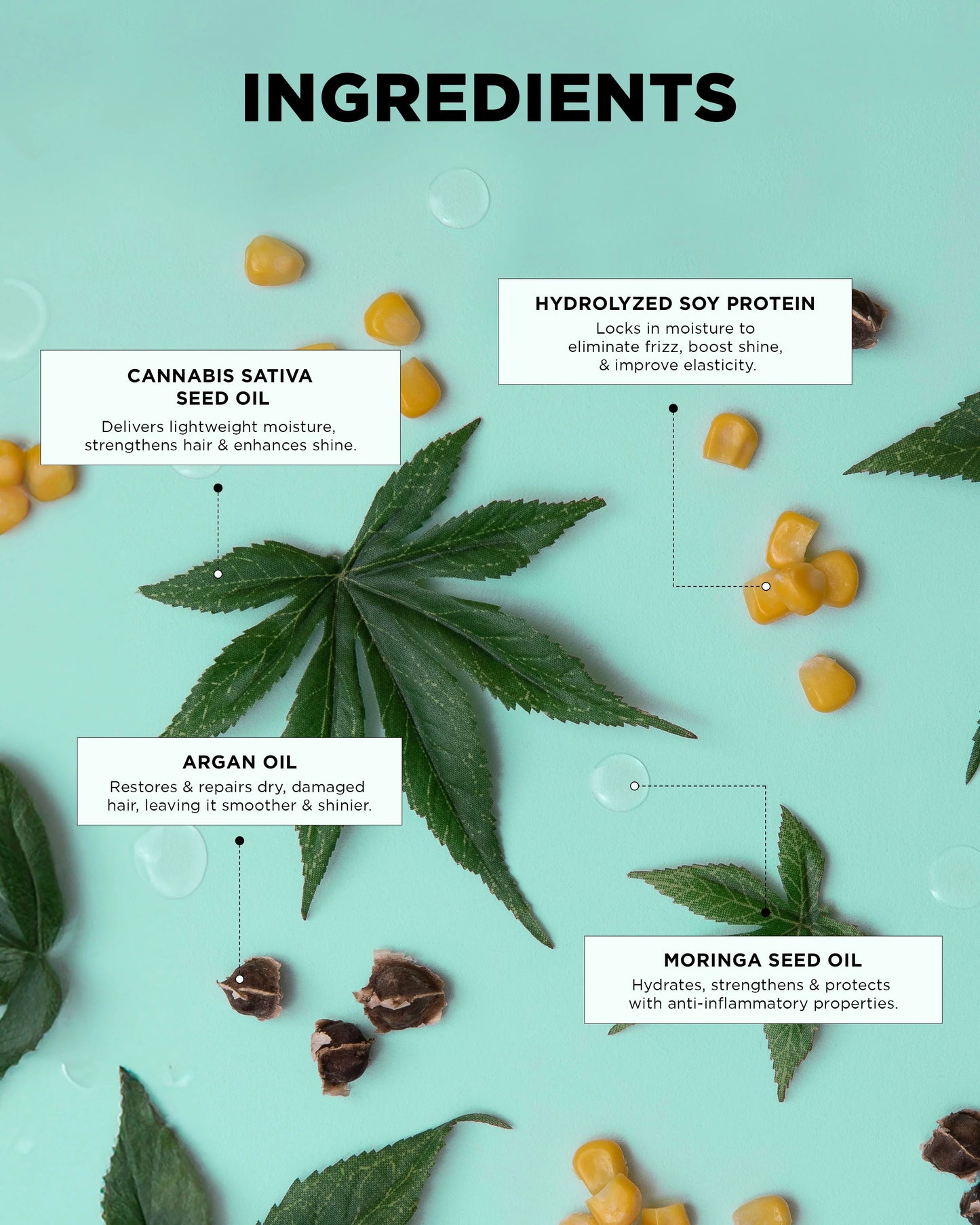 DESIGN.ME Dream Mane Hydrating Kit